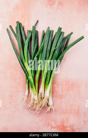 Bunch of green, spring onions on pink background Stock Photo
