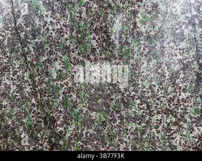 A granite rock surface with green and brown mineral speckles. Stock Photo