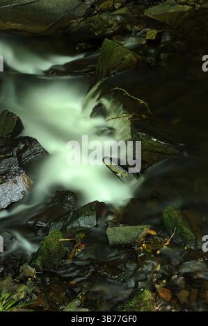 Melincourt Brook just below Melincourt Falls. Stock Photo