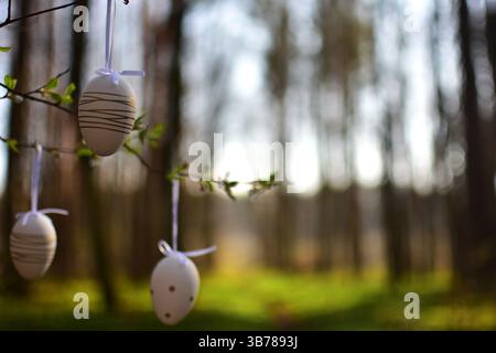 Easter eggs decoration hanging on tree branches in the forest sunny day. Concept of minimal easter decorations outside blurry background. Stock Photo
