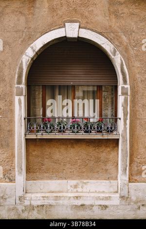 Close-ups of building facades in Venice, Italy. A stone arch above a wooden window on the facade of building. White curtains in window, small flowers Stock Photo