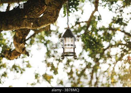 Vintage hanging street lamp on a tree branch against a background of leaves. Stock Photo