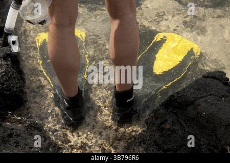Maennerbeine mit Flossen und Taucherbrille zum Schnorcheln - Men's legs with flippers and goggles for snorkelling Stock Photo