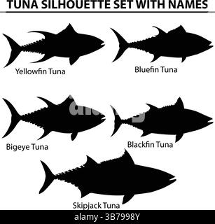 Tuna Silhouette Vector Set with Names | Yellowfin, Bluefin, Bigeye, Blackfin, Skipjack Stock Vector