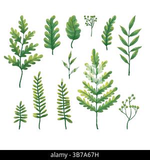 Collection of greenery leaf plants displaying tropical forest herbs in watercolor style Stock Vector