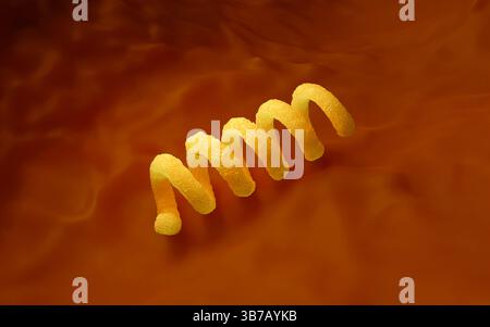 Syphilis Structure Treponema pallidum. Illustration of spiral-shaped bacterium causing ...