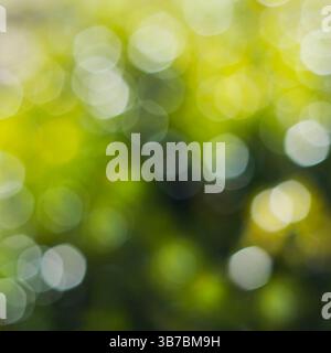 abstract background - natural green bokeh Stock Photo