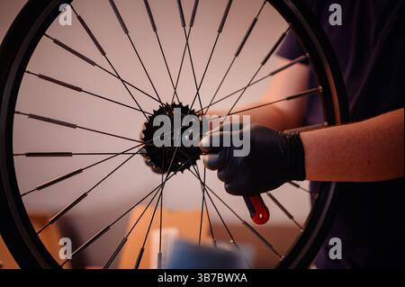 Close-up of gloved hands adjusting the hub of a bicycle wheel using a wrench, focusing on the rear gear cassette. Stock Photo