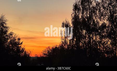 Breathtaking sunset over lush forest silhouettes with vibrant orange and yellow sky transforming into deep twilight hues. Stock Photo