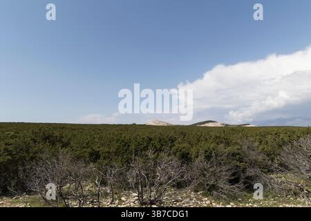 dry stone wall on a hill, meadows and human influence Stock Photo