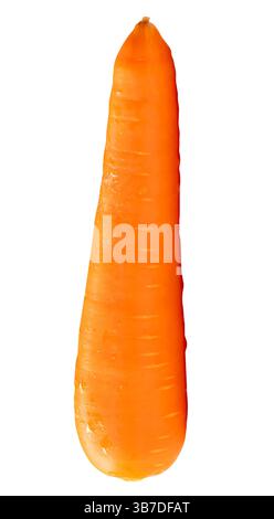 Top view of one fresh orange carrot is isolated on white background with clipping path. Stock Photo