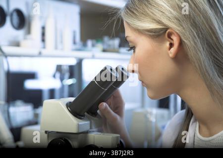 Beauty researcher looking through microscope in laboratory Stock Photo
