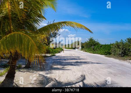 A quiet dirt road surrounded by palm trees and dense tropical vegetation on the island of Holbox, casting shadows on the white sand under a bright blu Stock Photo