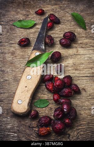 Dried berries of the wild rose on wooden table in rustic style Stock Photo