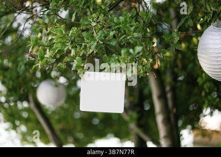 Blank rectangular plaque hanging on a green tree next to the lamps. Stock Photo