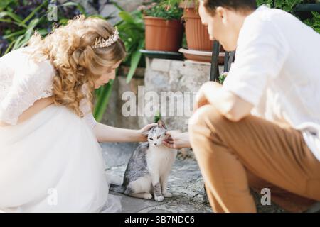 The bride and groom are squatting and stroking a gray cat on a street in the old town of Perast . Stock Photo