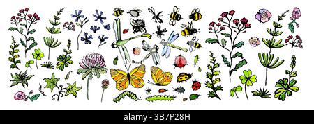 Set of flowers and insects. hand drawn. Not AI, Vector illustration Stock Vector