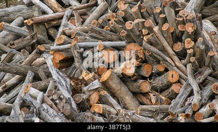 Closeup of large pile of cut firewood logs stacked for storage Stock Photo