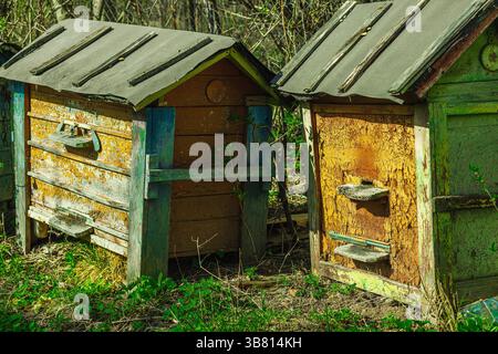Abandoned traditional beehives near rural home. A symbolic image of global bee population decline and ecological imbalance, highlighting the urgency o Stock Photo