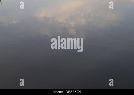 Abstract image features the sky and trees reflecting off the water surface, creating a tranquil and calming scene with silvery tones. Dusk enhances th Stock Photo