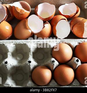 Broken eggshells and whole eggs in a cardboard egg container. Directly above. Stock Photo