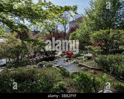 April 5, 2024, Vienna, Austria, Austria: Visitors came to the Japanese  Setagaya park in north Vienna after a sweltering heat hit the Central Eastern Europe region, jumping from 10C to 25C within a few days. (Credit Image: © Bianca Otero/ZUMA Press Wire) Stock Photo