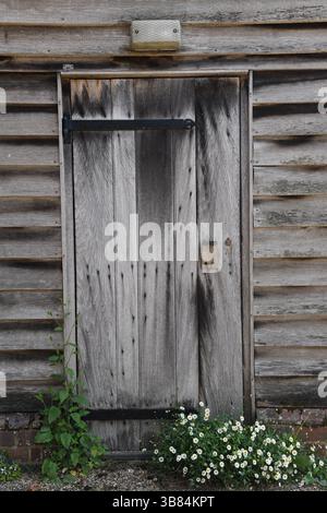 Garden shed door Stock Photo