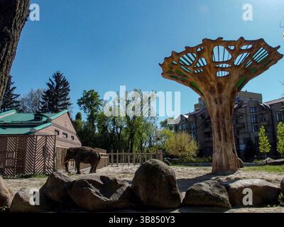 May 29, 2024, Kyiv, Ukraine, Ukraine: The elephant enclosure of the Kyiv Zoo where 17 year old Asian Elephant named Horace resides..The Kyiv Zoo is the only zoo in the center of Kyiv and underwent shelling and survived the main attacks on the city in 2022. From then, the director moved his staff onto the grounds of the zoo where he and his mother have still stayed and most staff have moved home..The recent shelling in Kyiv in July 2024 fortunately had no effect on the zoo. (Credit Image: © Bianca Otero/ZUMA Press Wire) Stock Photo