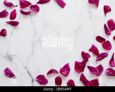 Red burgundy peony petals flat lay on white marble background. Flower petals with copy space for text or design in center. Creative layout made of flo Stock Photo