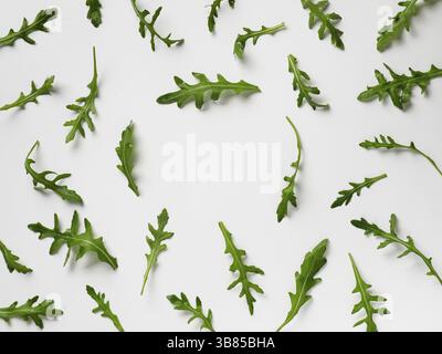Arugula pattern with copy space in center. Arugula isolated on white backgrund. Frame made of arugula leaves. Flat lay, top view Stock Photo
