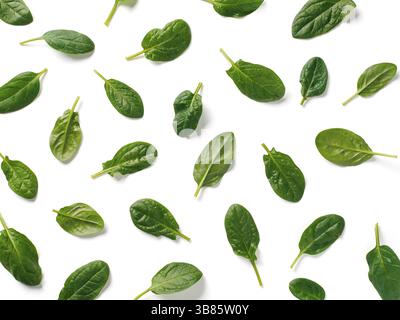 Pattern from baby spinach leaves. Fresh green baby spinach isolated on white with clipping path. Top view or flat lay. Can use for design vegan and ke Stock Photo
