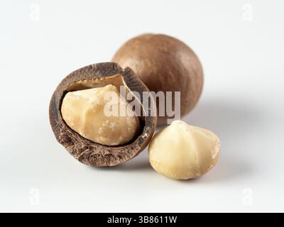 Three peeled macadamia nuts on white background. Set of three macadamia nuts - whole unshelled, with open shells, and shelled. isolated on white. Copy Stock Photo