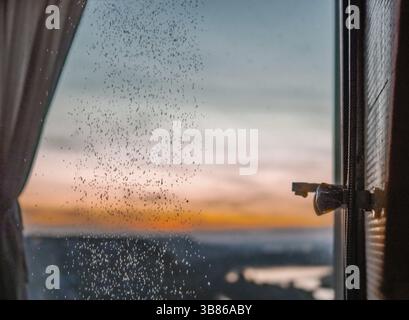 Bathing room interior with panoramic window. Splashes and drops of water from shower in bathroom with panoramic window in summer nature background at Stock Photo