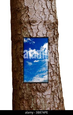 a piece of blue sky with white clouds carved into a tree trunk Stock Photo