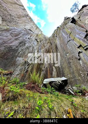 Slate cliff face at Dinorwic Quarry in Llanberis, Snowdonia, Wales, viewed from below on a sunny day. Moss, ferns, and grass grow at the base. Stock Photo