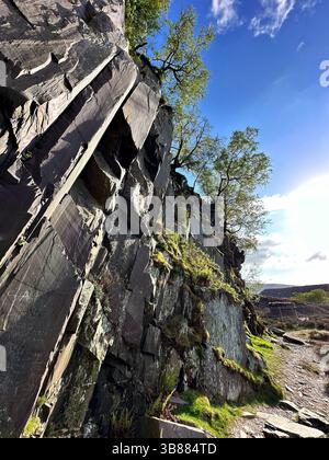 Slate cliff face at Dinorwic Quarry in Llanberis, Snowdonia, Wales, viewed from below on a sunny day. Moss, ferns and grass grow at the base. Stock Photo