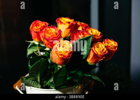 A close-up bouquet of fresh orange and red roses with green leaves, beautifully arranged in a white vase under natural light. Stock Photo