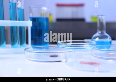 Petri dishes, flasks and test tubes with samples on white background ...