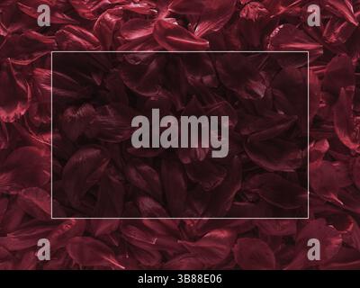 Background of red peony petals. Bright saturated red purple peony pattern background. Burgundy floral texture can use as wallpaper, card design Stock Photo