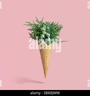 Christmas concept. Bouquet of cypress branches in ice cream cone. Isolated on pink background. Square shape Stock Photo