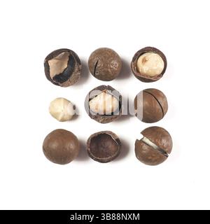 Nine macadamia nuts on white background with clipping path. Set of peeled and unpeeled macadamia nuts isolated on white, top view or flat lay. Square. Stock Photo