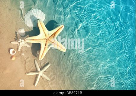 Starfish and seashells on the summer beach in sea water. Summer blue ocean background. Summer time. Stock Photo