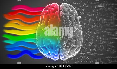 Creative and logical halves of human mind. Stock Photo
