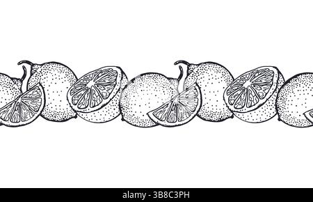Lemons seamless horizontal border in black ink. Whole, half and slice fruits. Hand drawn vector illustration. For food and cosmetic labels, jam, lemon Stock Vector