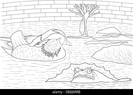 A detailed line drawing illustration featuring a mandarin duck swimming in a pond alongside a frog sitting on a lily pad, with a blooming lotus flower Stock Vector