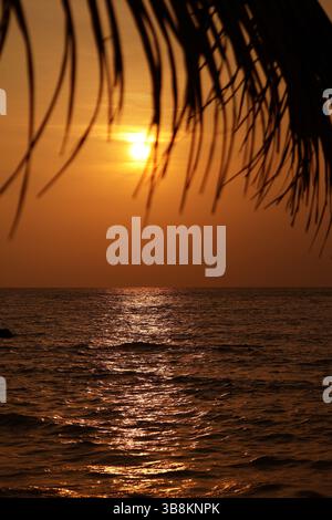Bright sun rising over the gorgeous golden seascape Stock Photo