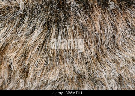 Close up of light brown synthetic fake fur Stock Photo