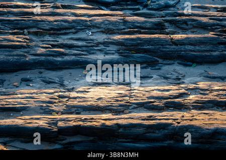 Abstract texture of a beach stone with smooth, weathered surface and subtle patterns, creating a natural, earthy background Stock Photo