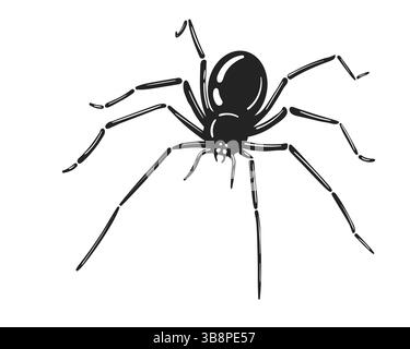 Creepy crawly Detailed vector illustration of a spider. Perfect for Halloween, nature themes, or symbolic designs representing fear or mystery. Versat Stock Vector