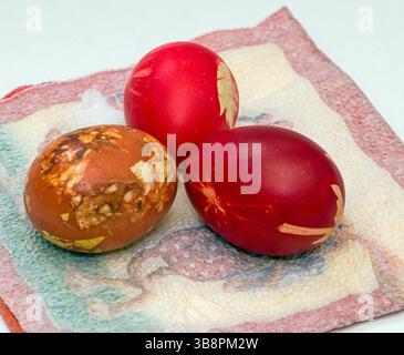 Coloured boiled chicken eggs with natural homemade colouring process for Easter holidays Stock Photo